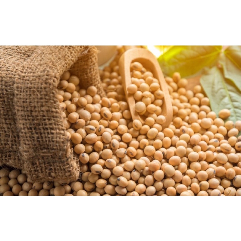 1kg đậu nành hạt- Làm sữa đậu nành, tàu hũ