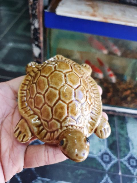 RÙA TRANG TRÍ HỒ CÁ NON BỘ 11x6x4cm