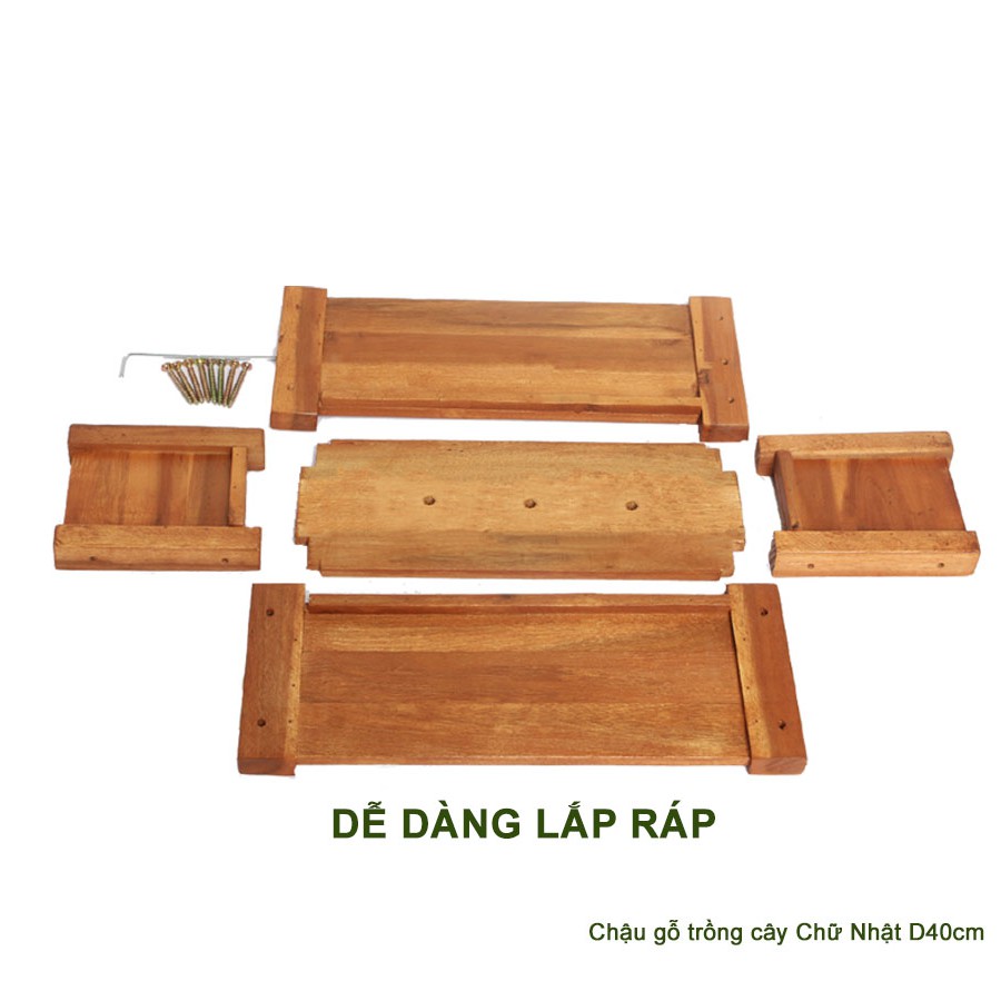 Chậu gỗ trồng cây, chữ nhật, D40xR16xC16cm, gỗ Tràm chịu nước, tặng 5 gói dưỡng hoa tươi lâu |Greenhome