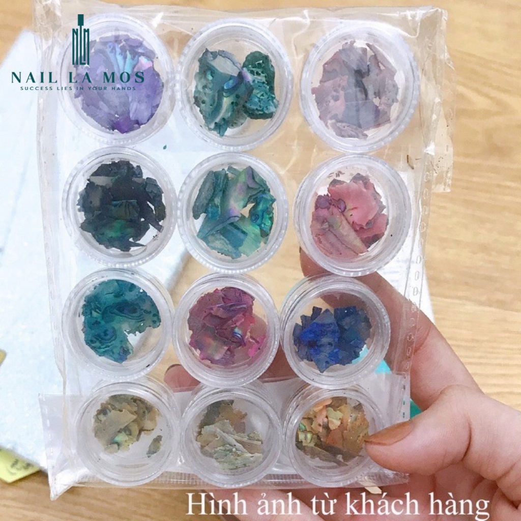 Set 12 hũ xà cừ vân gỗ 4D - xà cừ trang trí móng tay phong cách ẩn gel Hàn Nhật