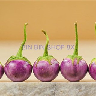 Hạt giống cà pháo tím (2gr)