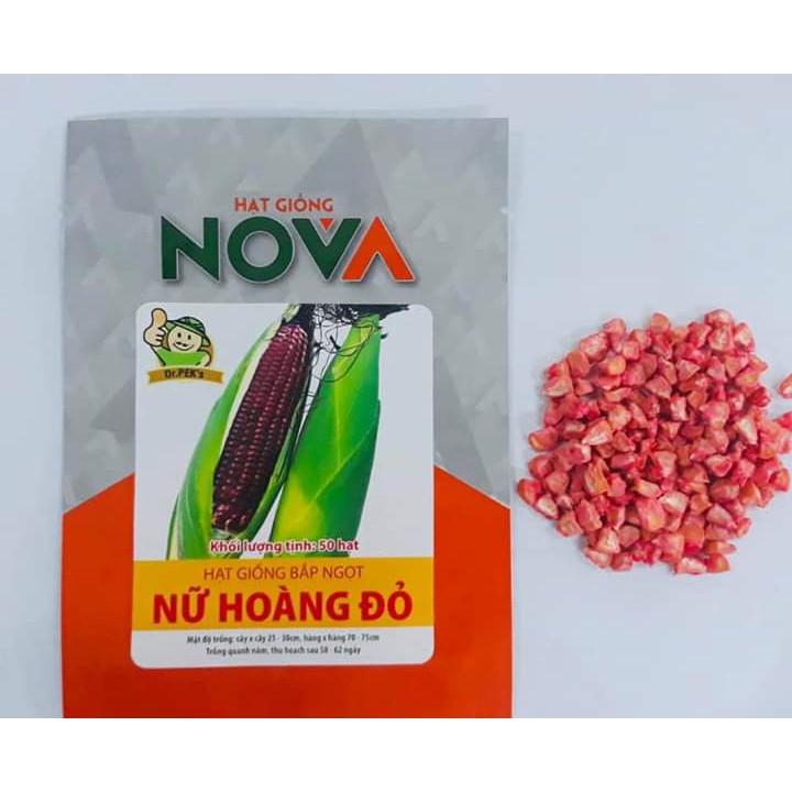 Hạt giống bắp ngọt Nữ Hoàng Đỏ _ 50 hạt