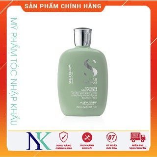 Dầu gội alfaparf renew energizing chống rụng & kích thích mọc tóc 250ml