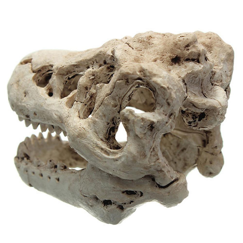 Mô hình đầu sọ khủng long bằng nhựa trang trí bể cá