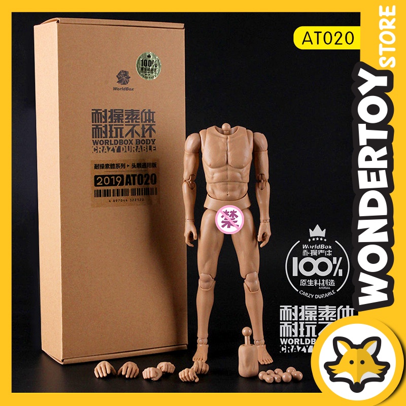Mô hình Body Male AT020 tỉ lệ 1/6 - Hãng WorldBox