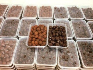 Ô mai mơ + mận thần thánh