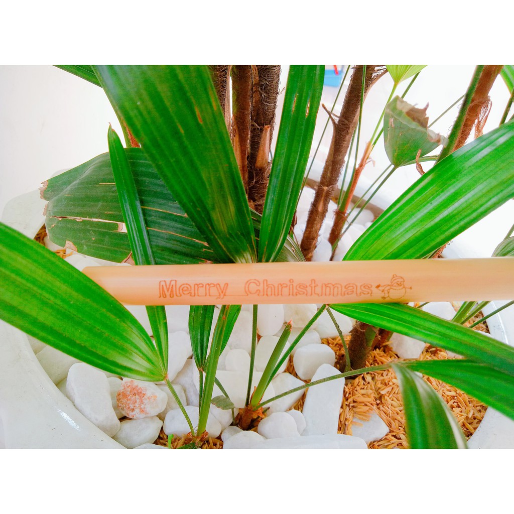 5 ống hút tre khắc theo yêu cầu | BigBuy360 - bigbuy360.vn