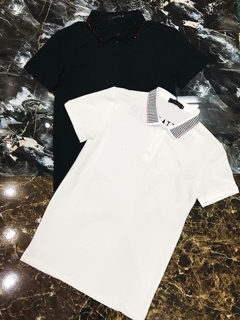 Polo DSQ