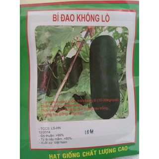 Hạt giống bí đao khổng lồ