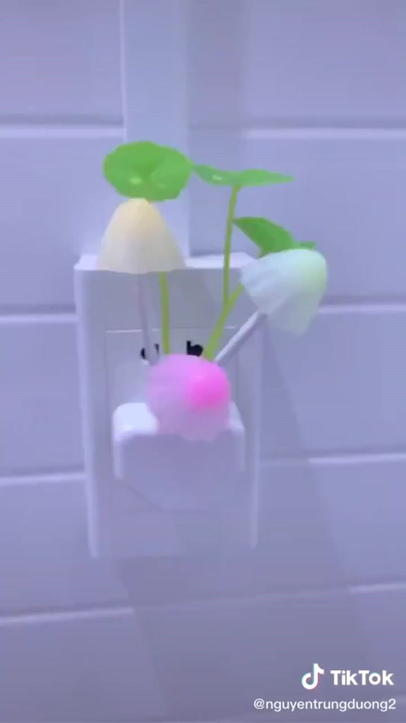 Đèn Ngủ Cây Nấm Cảm Biến Tự Sáng Khi Về Đêm - Đèn Ngủ Cảm Biến Ánh Sáng Tự Động Tắt Mở ( Nhiều Màu ), Siêu Tiết Kiệm | BigBuy360 - bigbuy360.vn