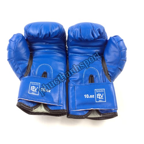 Găng đấm boxing Everlast 12oz (xanh)