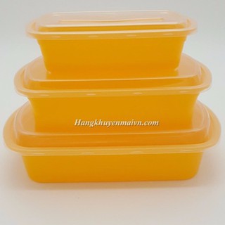 Bộ 3 hộp nhựa đựng thực phẩm FoodPak - Đại Đồng Tiến