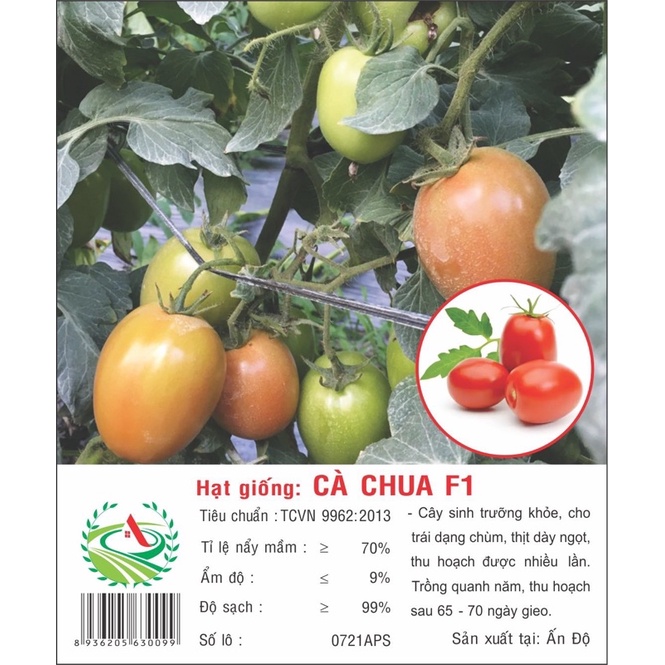 Gói hạt giống cà chua F1