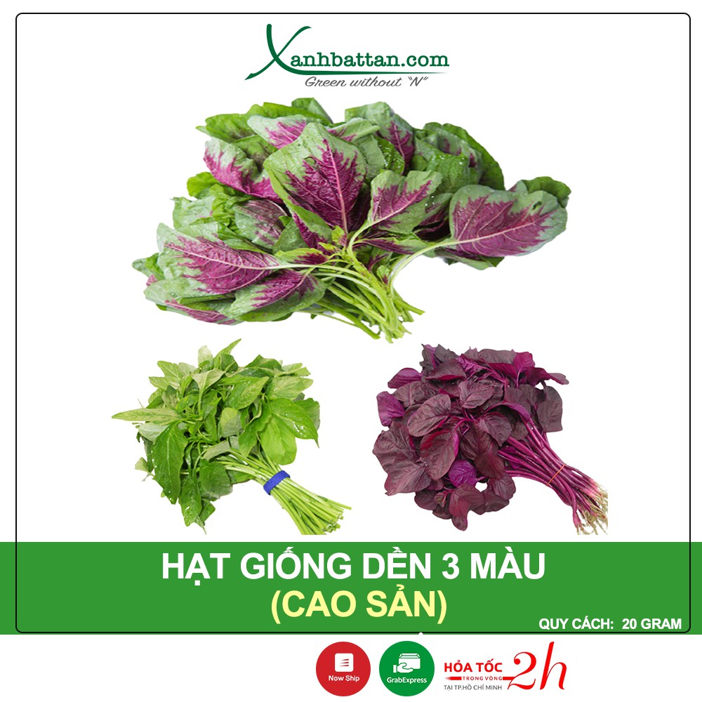 Hạt Giống Rau Dền 3 Màu Phú Nông Gói 20 Gram