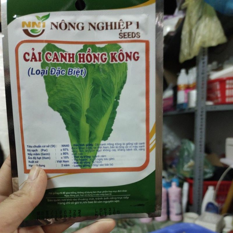 Hạt rau cải hồng công loại đặc biệt có thể tỉa lá ăn dần