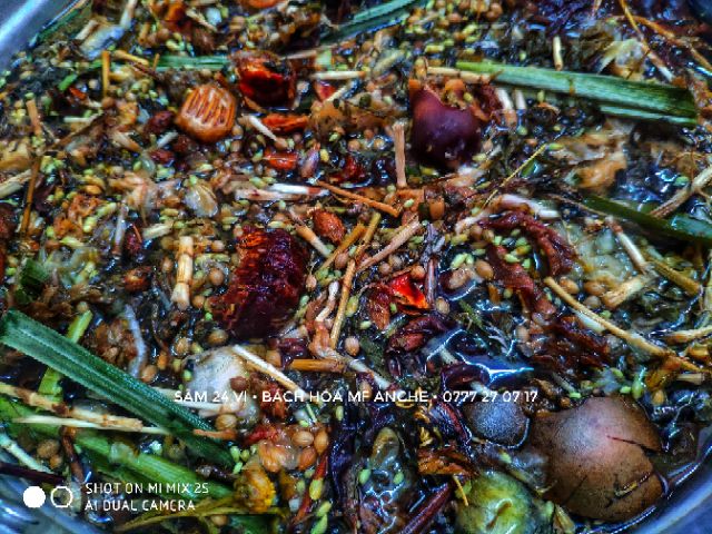 Sâm 24 vị phần nấu 10 lít sâm meanche