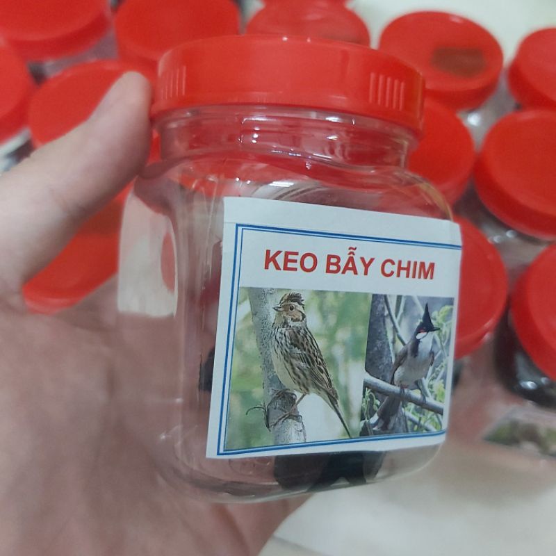 [ KEO SIÊU DÍNH ] Hũ Keo Bẫy Chim Sẻ, Chào Mào, Cu Gáy, Cò, .. - Hoài My Fishing