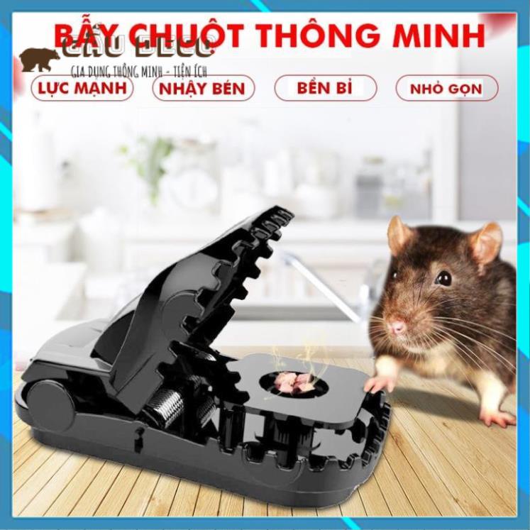 Bẫy Chuột Thông Minh - Giá Rẻ Hiệu Quả Cao