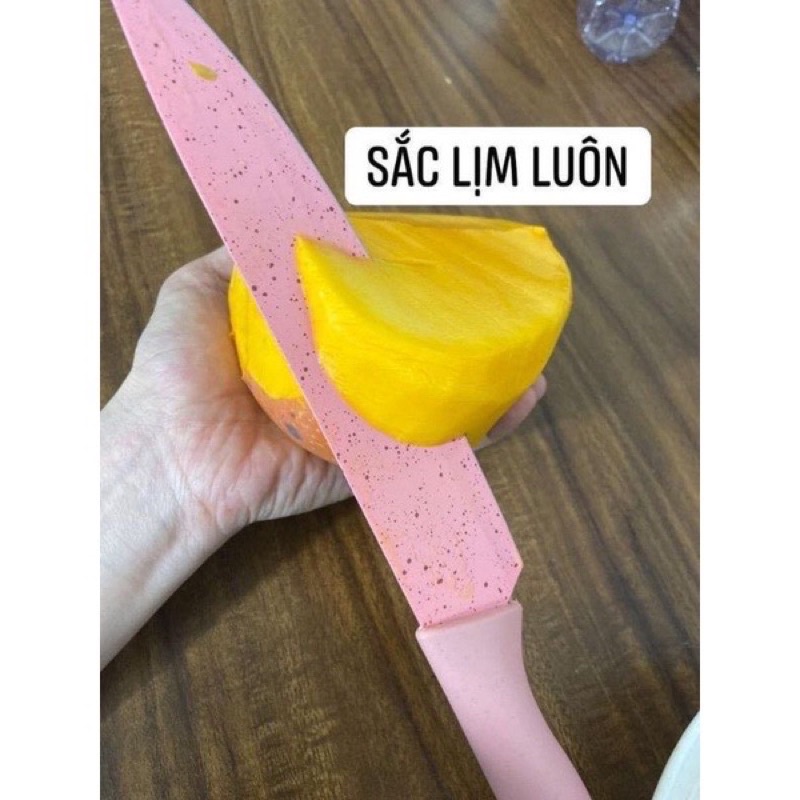 Bộ dao nhà bếp 6 món lúa mạch cao cấp Everich