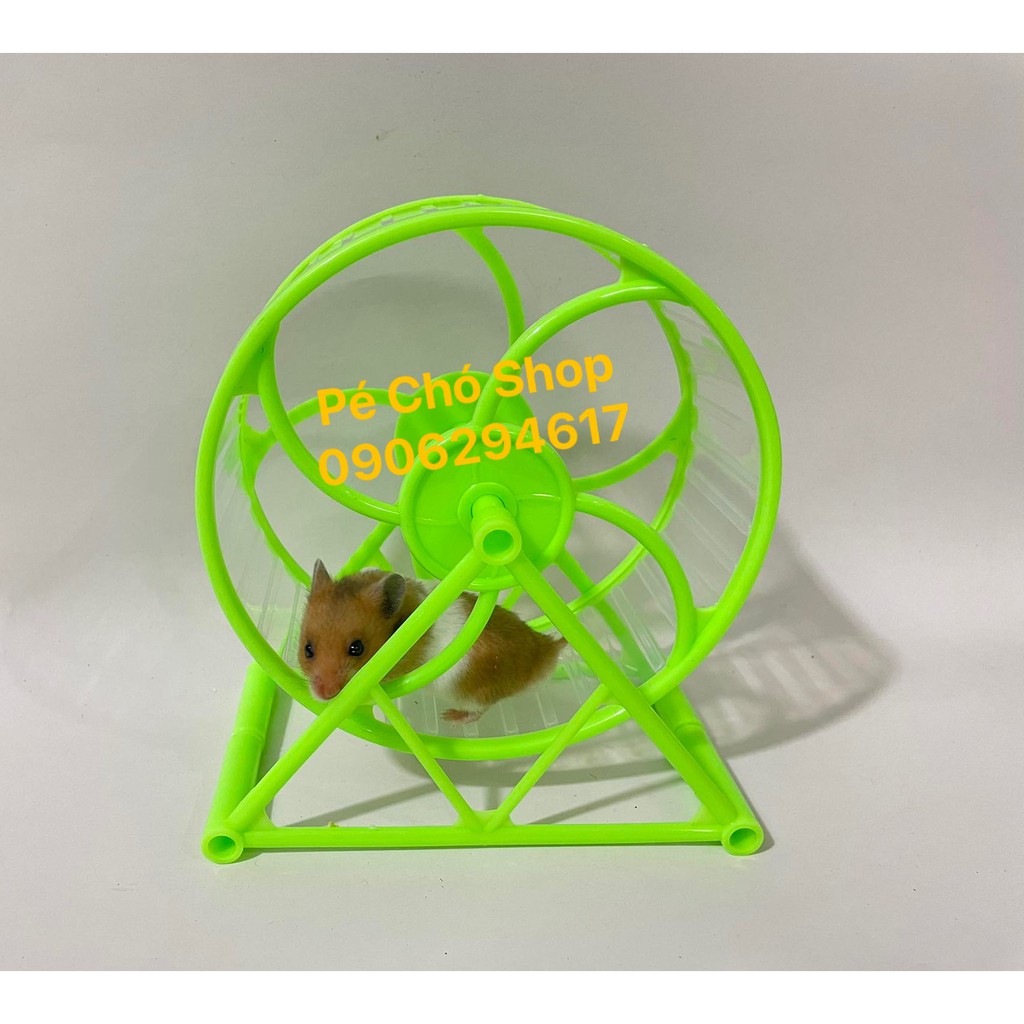 Whell nhựa TO size 16cm cho nhím baby hoặc Hamster bear .