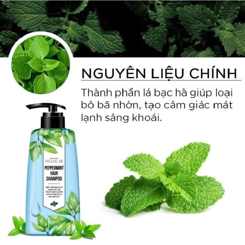 Combo Dầu Gội Và Dầu Xả Sạch Gàu Cho Tóc Dầu Around Me Peppermint Hair Shampoo Hương Bạc Hà 500ml/chai