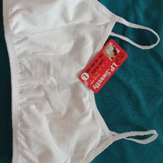 Áo lá + chip học sinh cotton