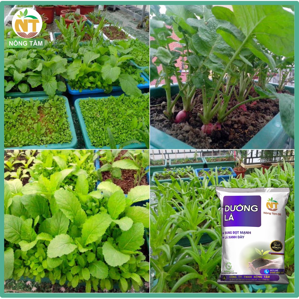 Phân bón Dưỡng lá, kéo đọt chuyên dùng cho cây ăn trái, cây công nghiệp, gói 1kg