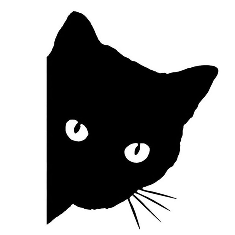 700.000+ ảnh đẹp nhất về Mèo Đen Trắng · Tải xuống miễn phí 100% · Ảnh có  sẵn của Pexels