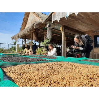 Coffee BLEND 500gram