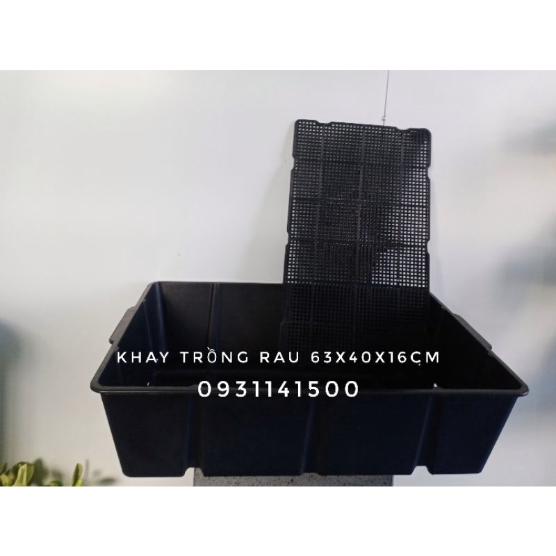 Khay nhựa dẻo trồng rau