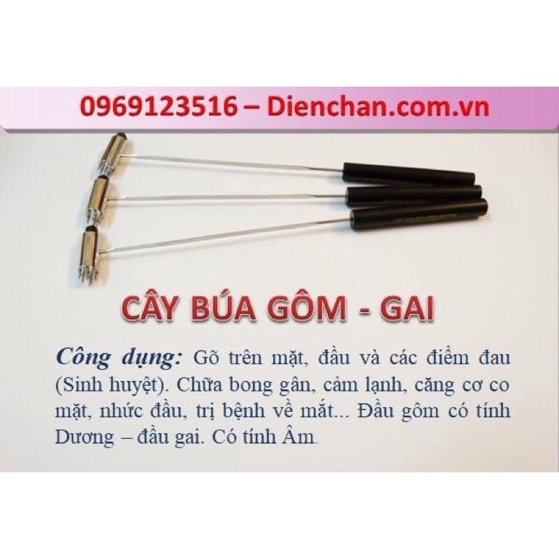 Búa mai hoa Diện Chẩn