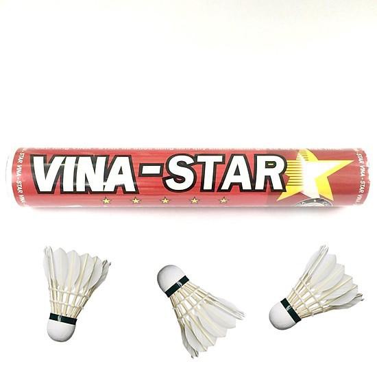 Ống cầu lông Vinastar đỏ