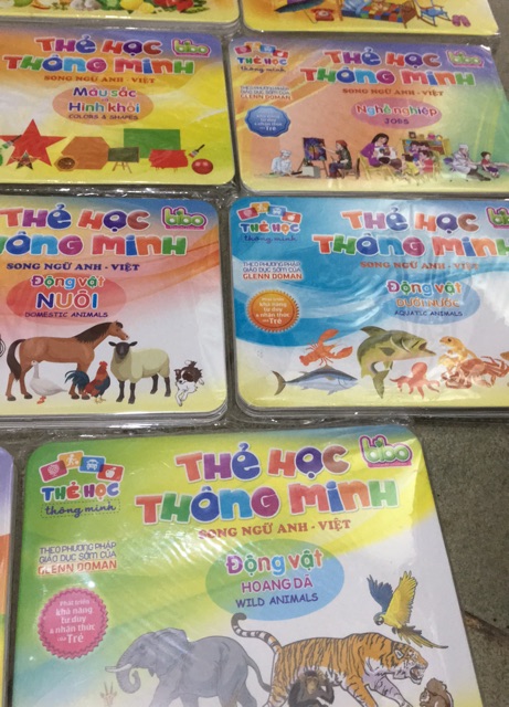 Flash card cho bé - Combo 11 bộ thẻ học thông minh ( mỗi bộ gồm 20 thẻ ) ( BIBO )