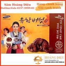 Sâm Hoàng Diệu - Nấm linh chi đỏ Hàn Quốc GEUMSANG Cô gái 1kg