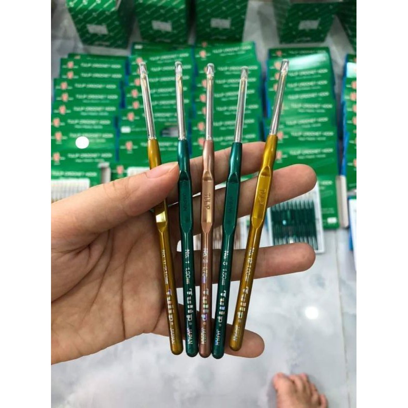 Kim Móc tulip của nhật