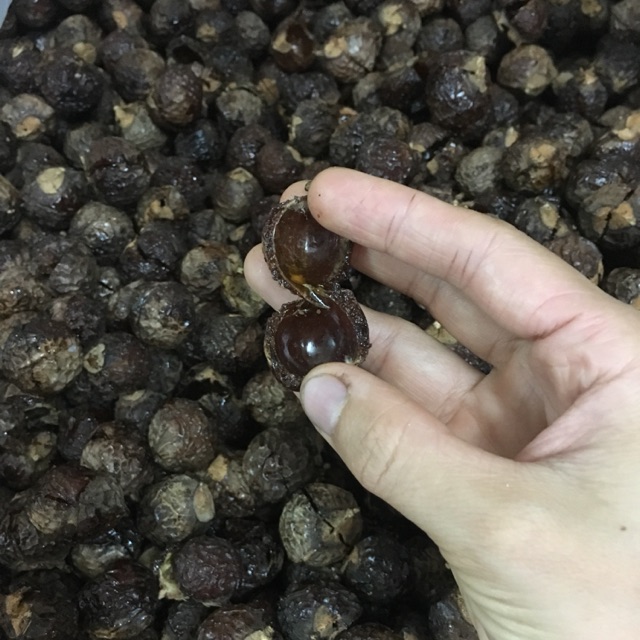 Bồ hòn-quả lượm-1kg-đã tách hạt
