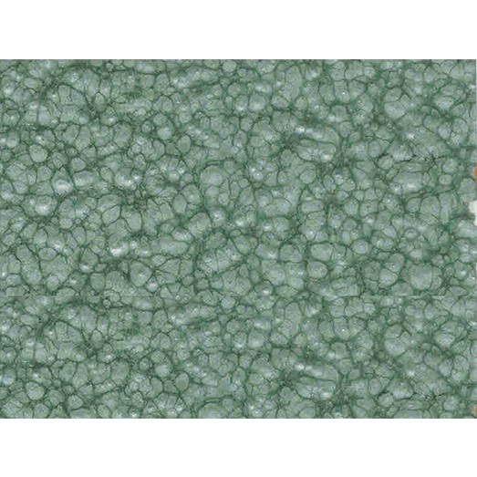 SƠN VÂN BÔNG  🔆🔆🔆🔆🔆🔆🔆