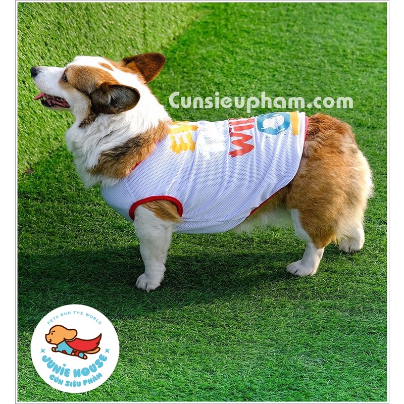 Áo thun lưới mùa hè cho chó lớn