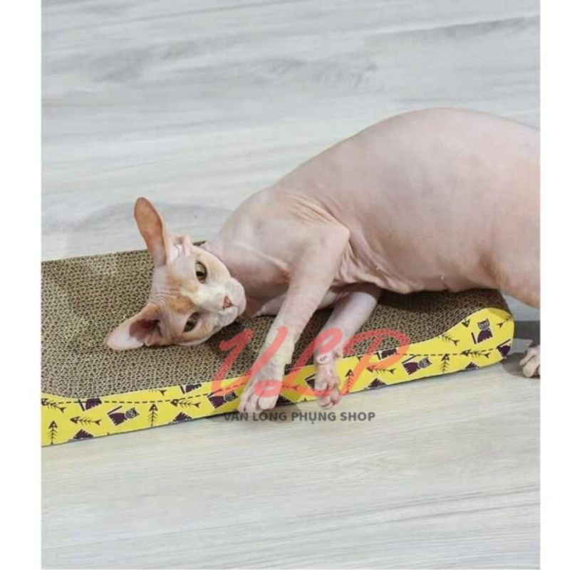 Bàn cào móng cho mèo / đồ chơi cho mèo