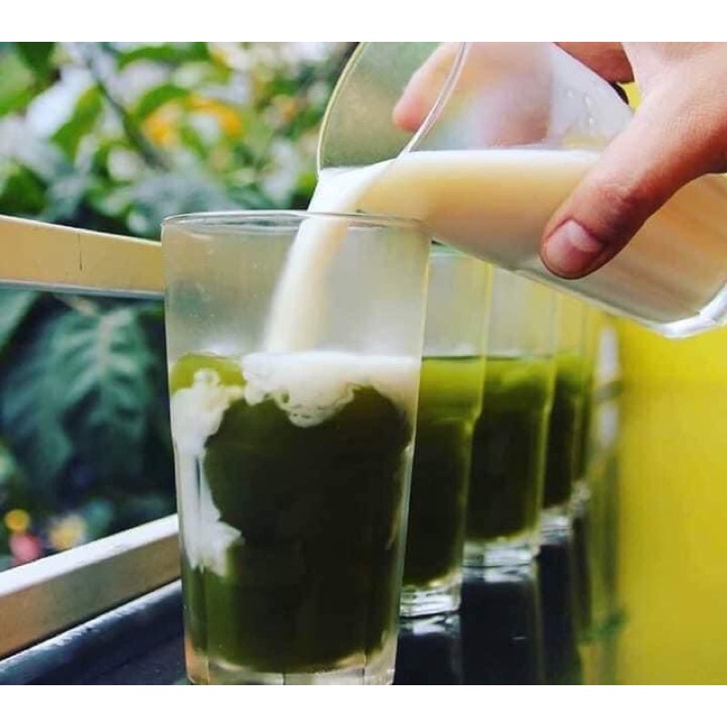 500gr Bột thạch lá găng rừng