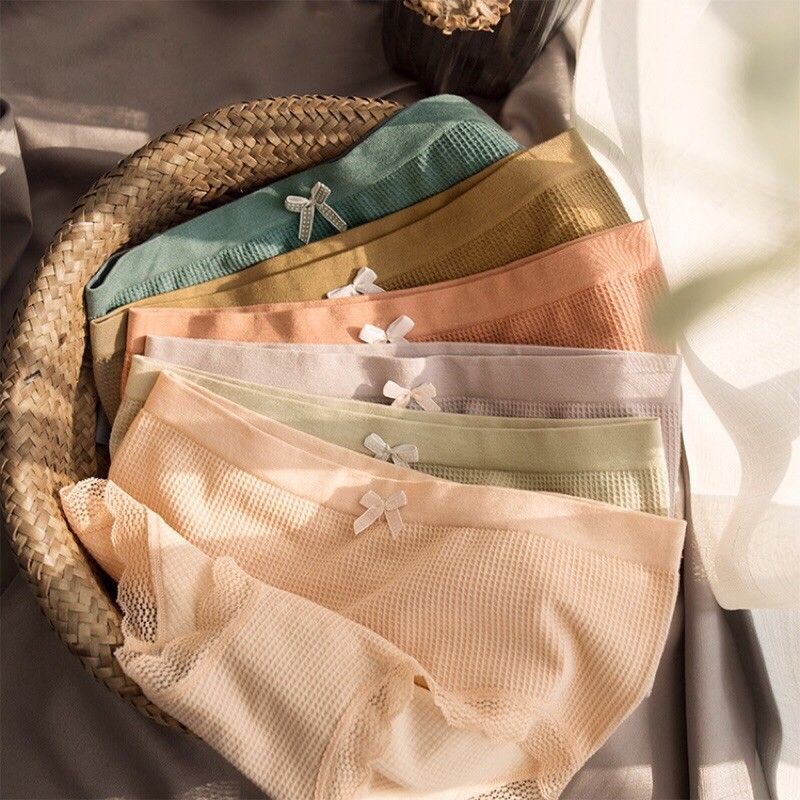 Quần sợi bông ❤️ XẢ KHO ❤️ Quần lót cotton tông sợi bông co giãn 4 chiều | BigBuy360 - bigbuy360.vn