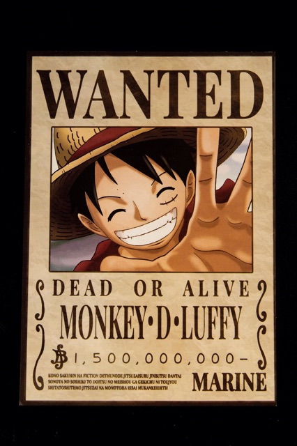 Combo 16 ảnh one piece truy nã wanted siêu chất có đề can bóc dán