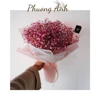 Bó hoa baby ướp loại 1  lượng giá tốt gói hoa, trang trí cắm lọ