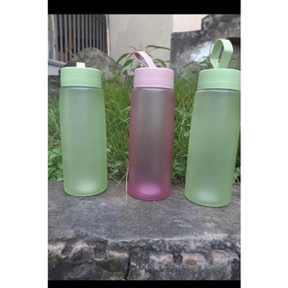 Bình nước thuỷ tinh detox 500ml