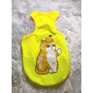 ÁO CHÓ MÈO - BA LỖ ( HÀNG TAOBAO CÓ SẴN )