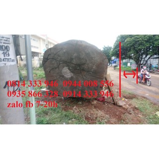 gỗ làm phản