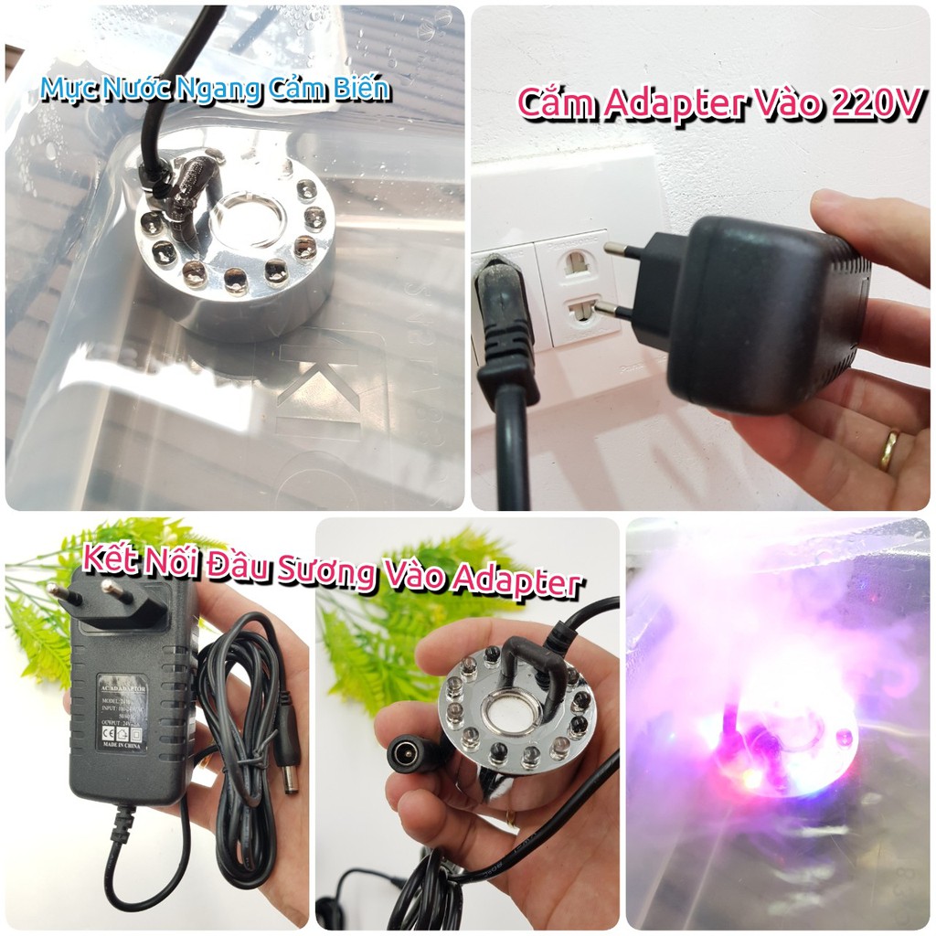 Bộ Tạo Hơi Sương Tạo Ẩm Tiểu Cảnh 12 Led Cả Nguồn, Hơi Nước, Tạo Sương Siêu Âm, Phun Sương