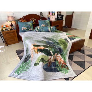 Mền/chăn thun lạnh 5D (1m65x2m)