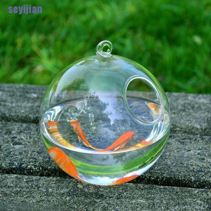Bình Hoa Thủy Tinh Treo Tường Trang Trí Nhà Cửa DIY