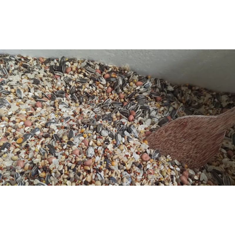 1kg thức ăn trộn cho hamster siêu ngon